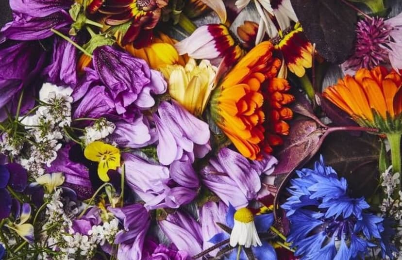 Mémo - Les fleurs comestibles (liste)